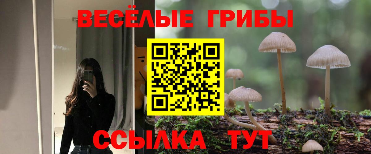 Галлюциногенные грибы прущие грибы  Псилоцибиновые грибы MAGIC MUSHROOMS  Вход с VPN  Кизляр 
